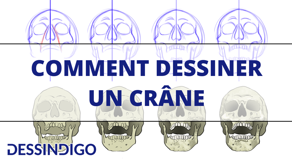 Comment dessiner un crâne