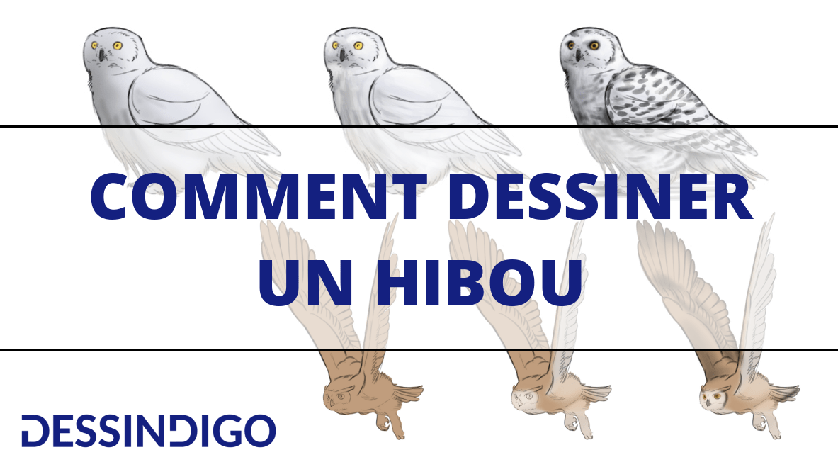 Réaliser un dessin de hibou