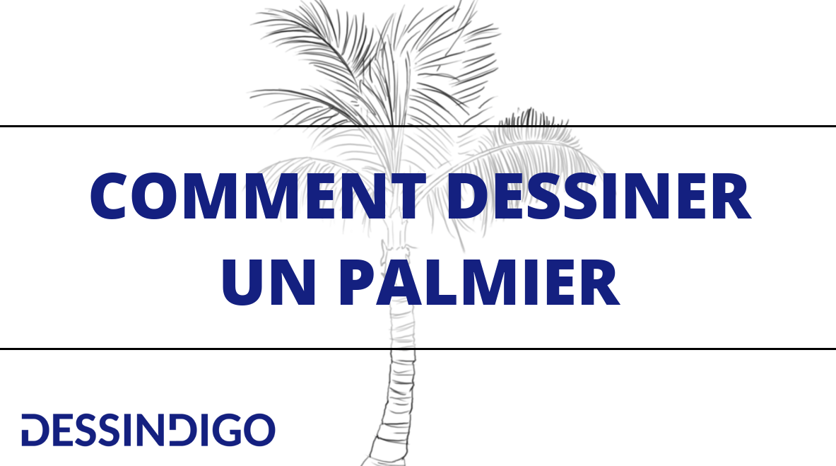 Dessiner un palmier