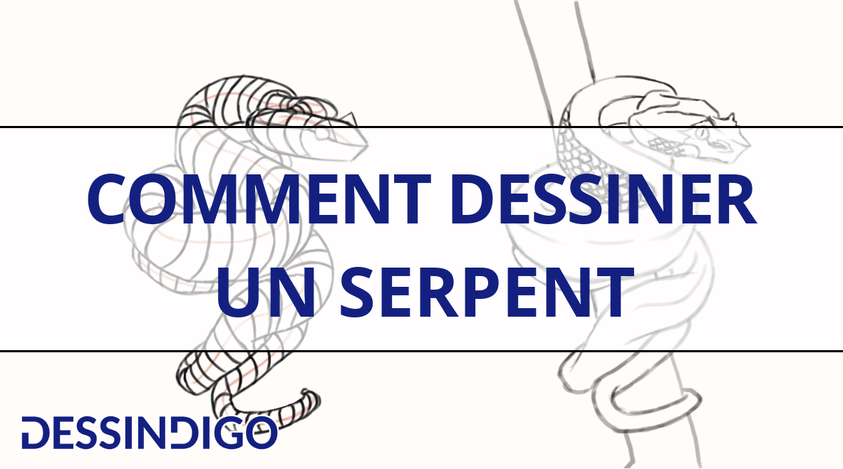 Comment dessiner un serpent