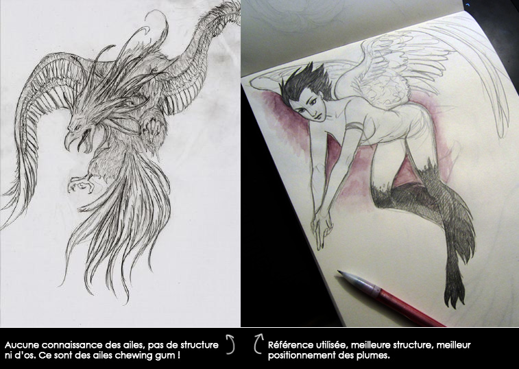 Comprendre la structure du modèle en dessin