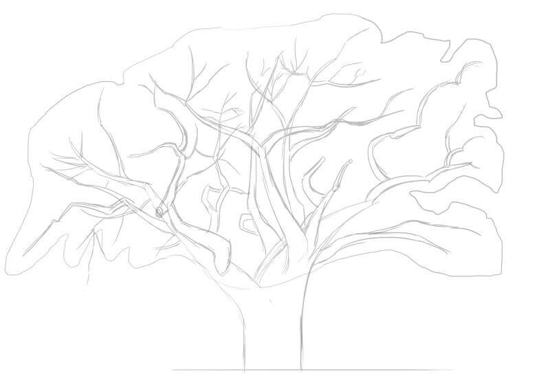 Dessin des branches du baobab, étape 4