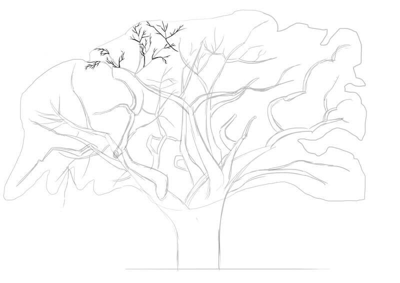Dessin des branches du baobab, étape 5