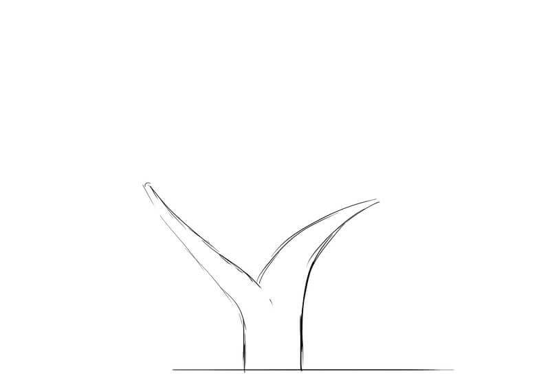 Dessin des branches du baobab