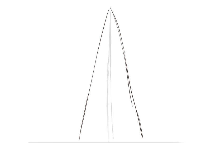 Dessin du feuillage du sapin