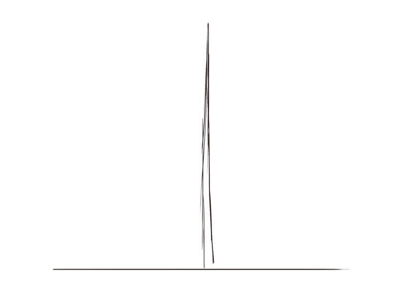 Dessin du tronc du sapin