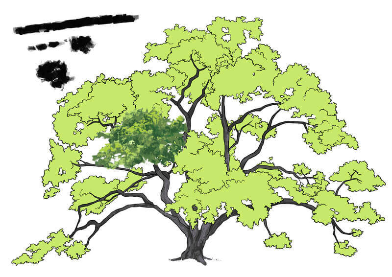 Exemple de brush pour l'application de la couleur