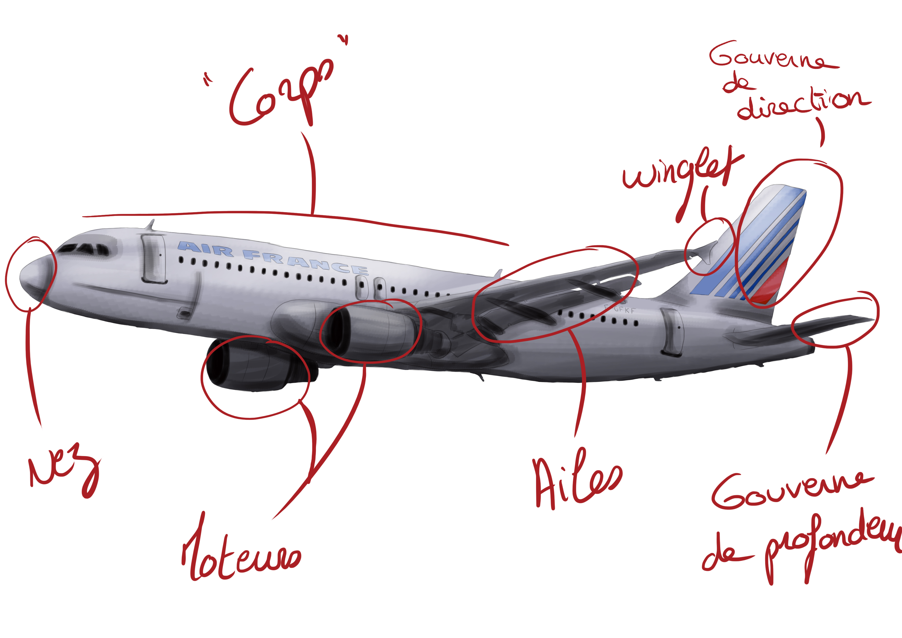 schéma de la structure d’un avion de ligne