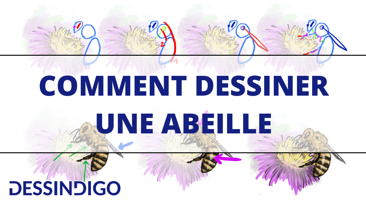 Comment dessiner une abeille