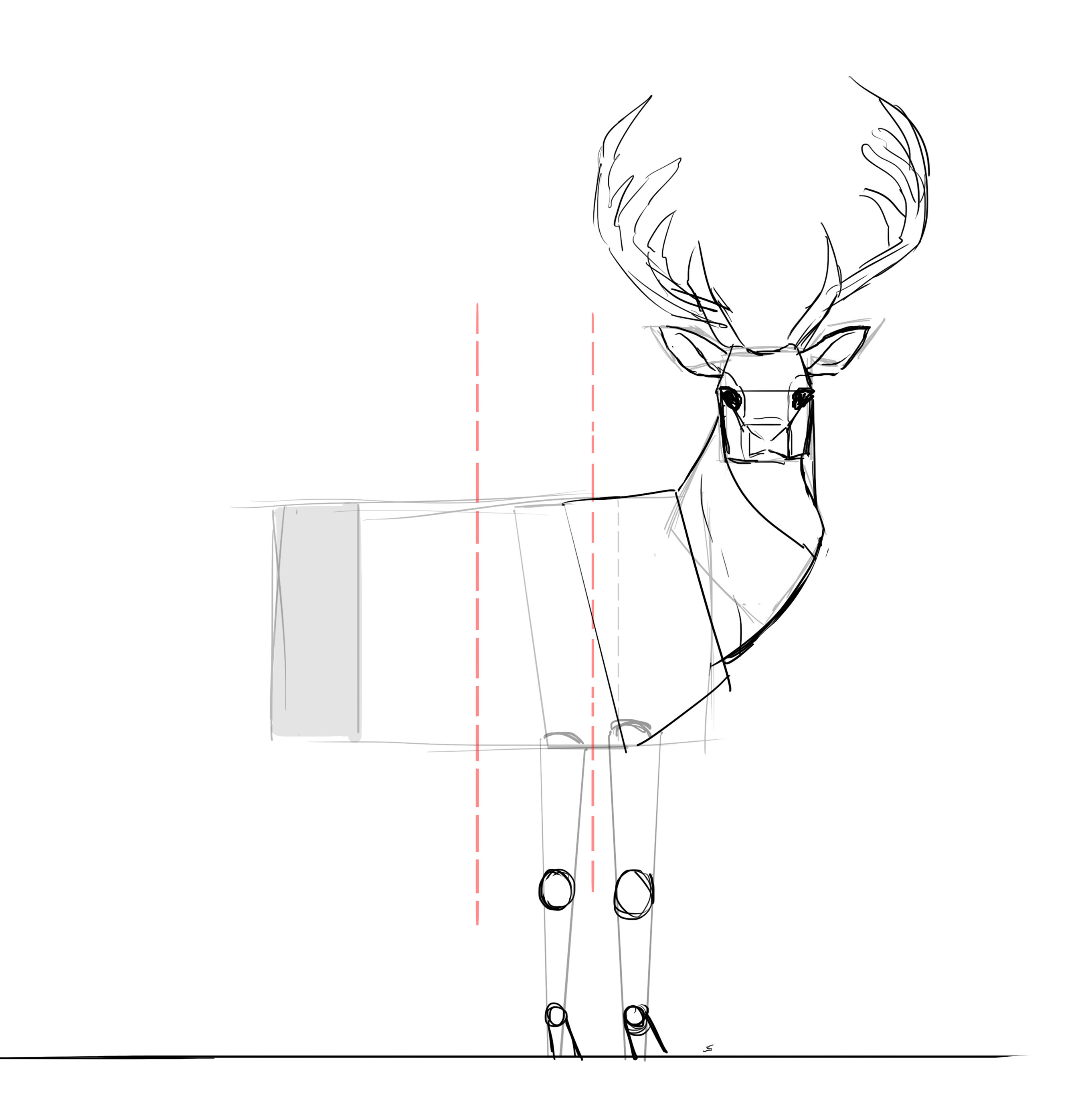 Comment dessiner un cerf, étape 15