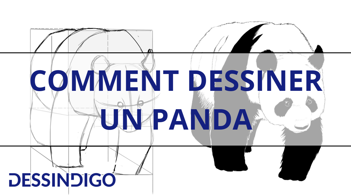 Comment dessiner un panda