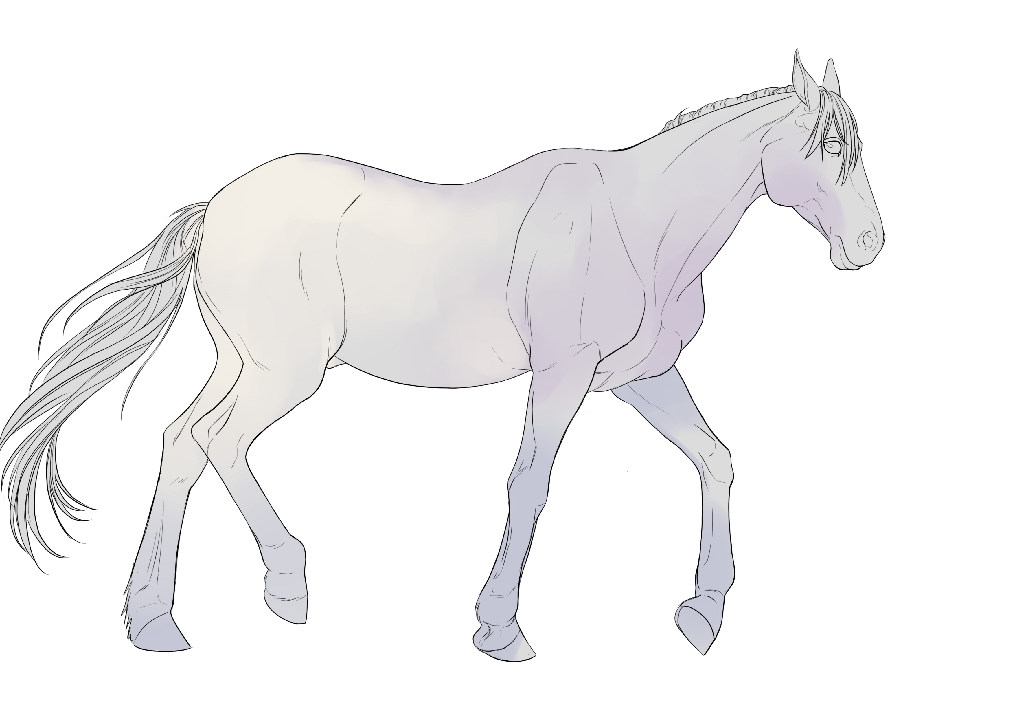 Appliquer la couleur de base au dessin