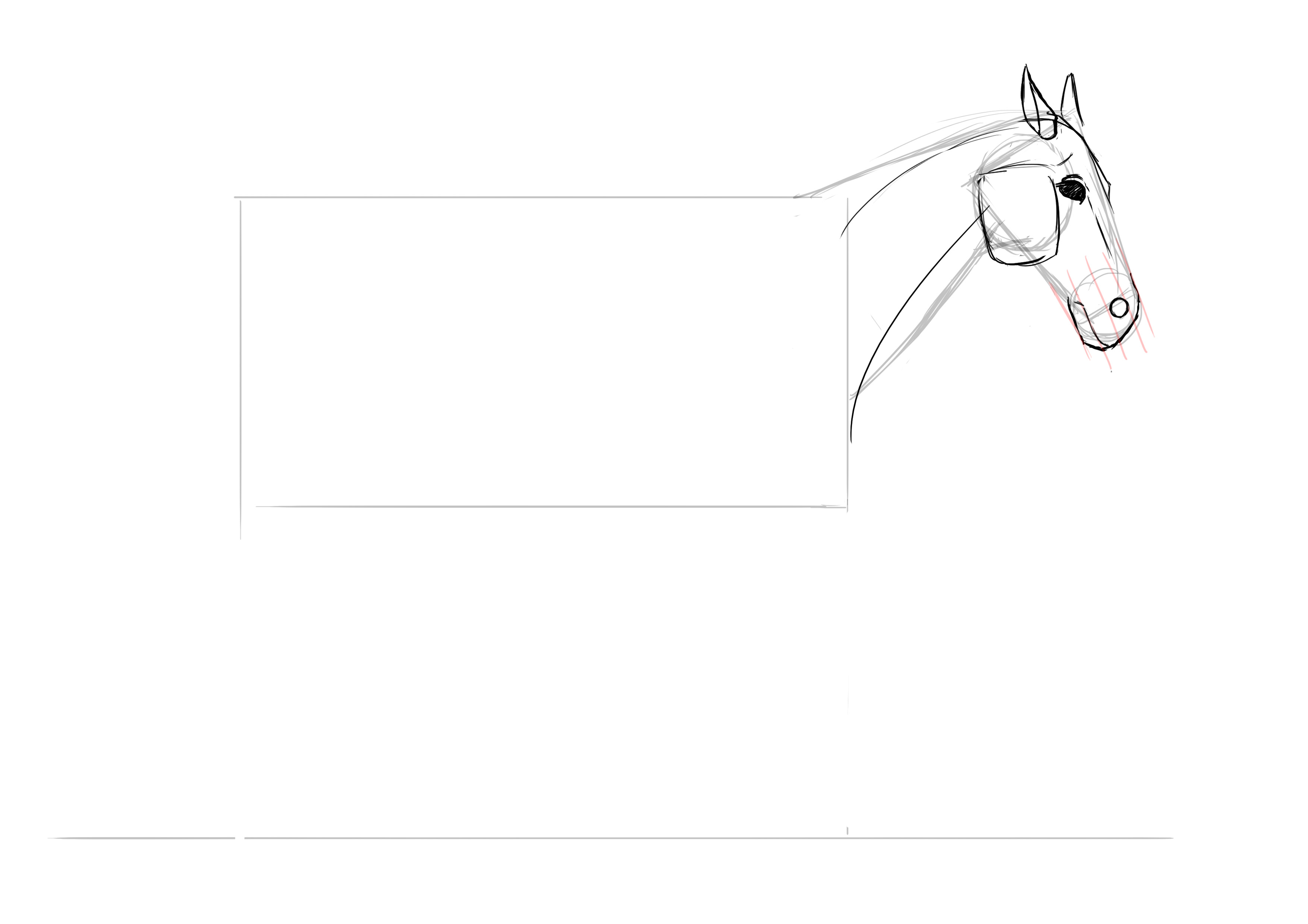 Dessiner le cou du cheval