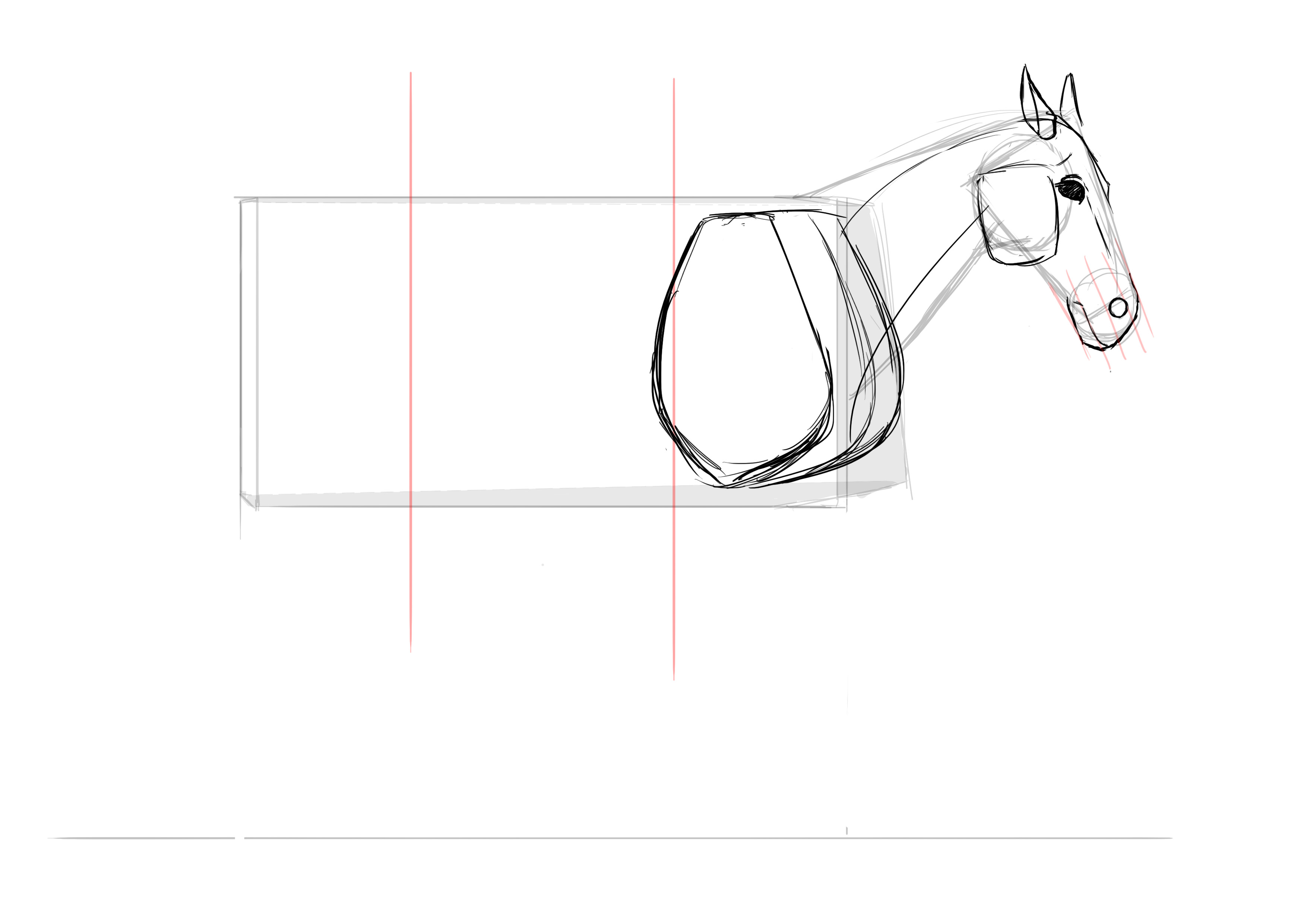 Dessiner les épaules du cheval 2