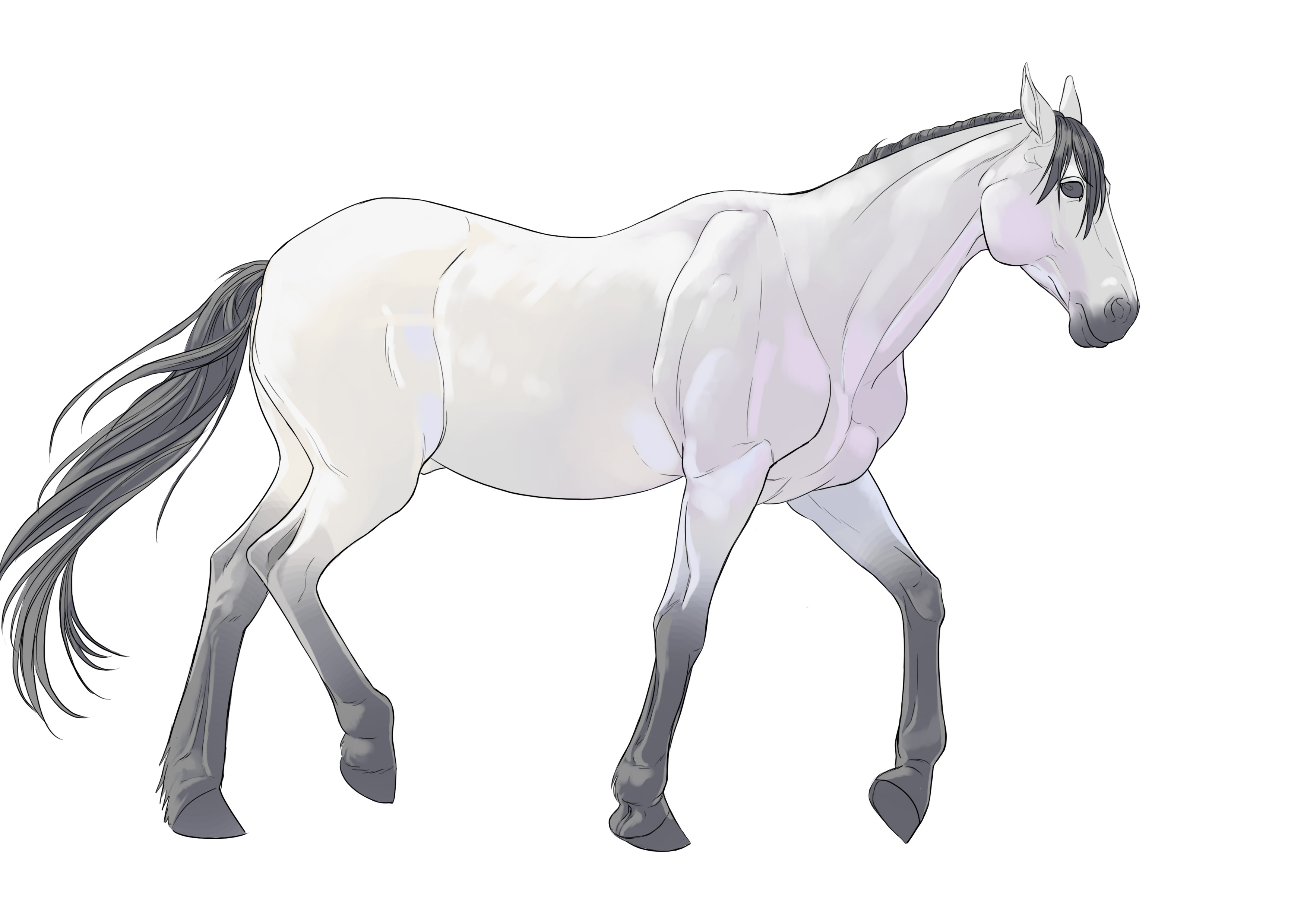 Affiner la lumière sur le dessin de cheval