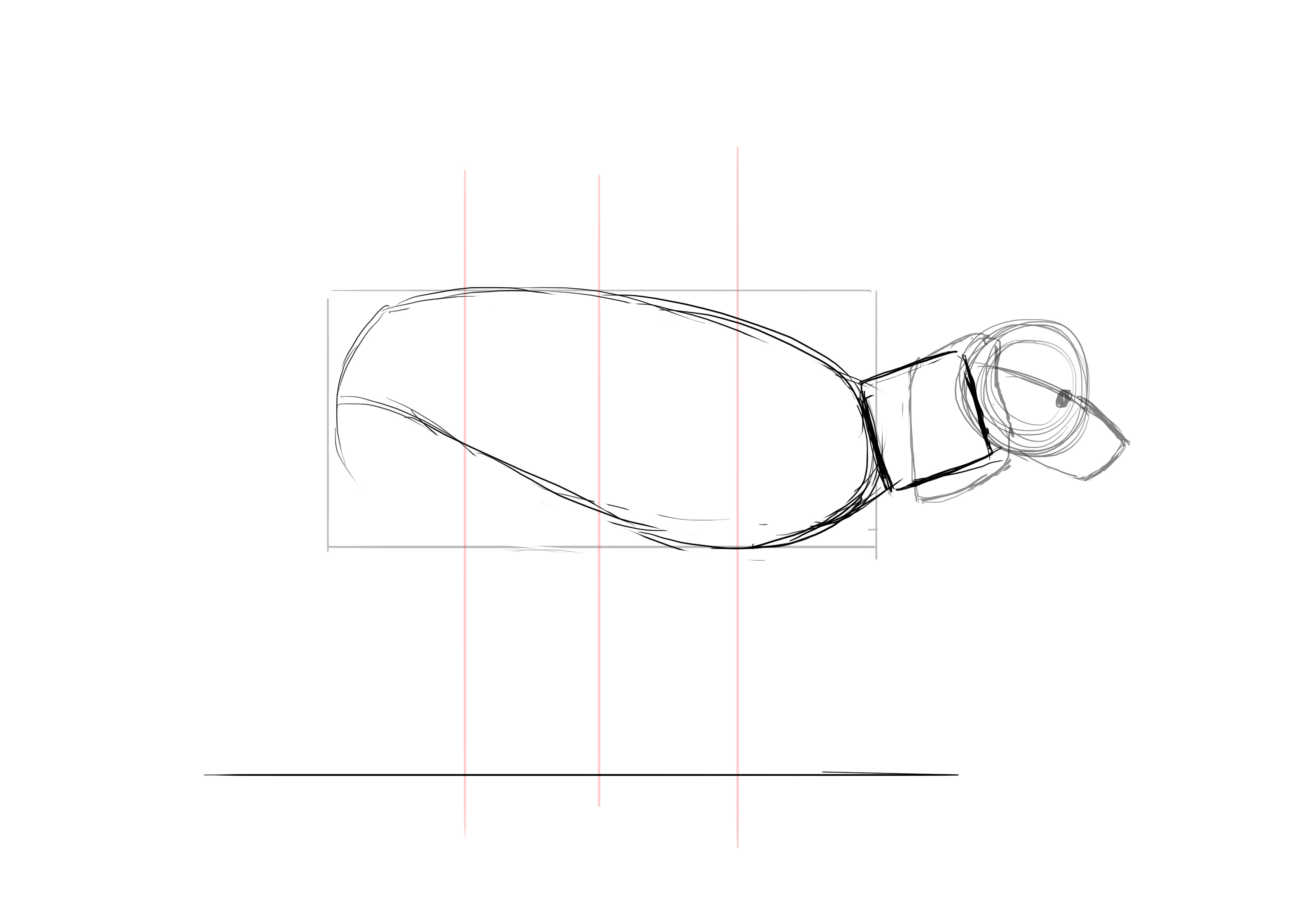 Dessiner le corps du caniche