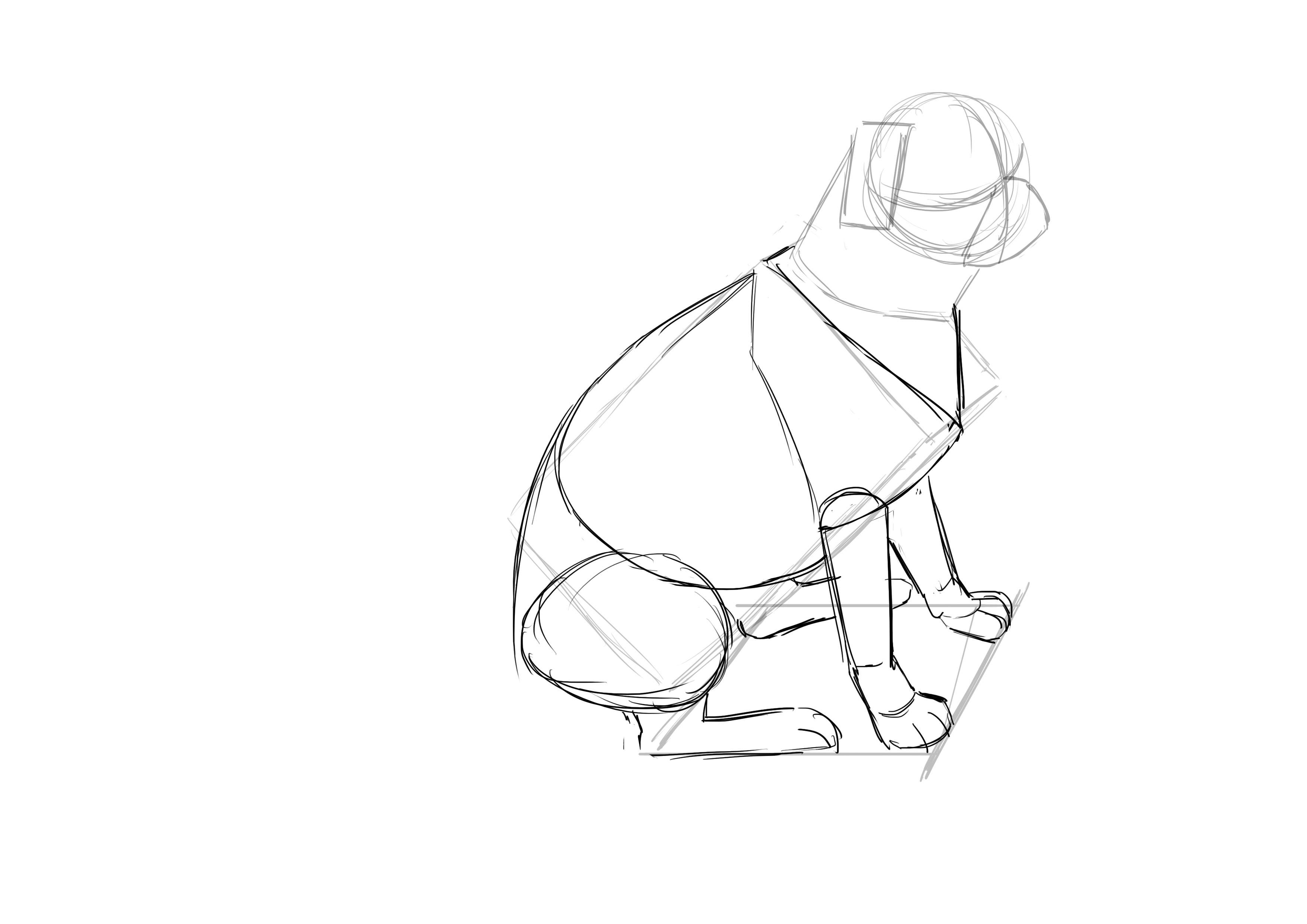 Dessiner les pattes arrière du chien