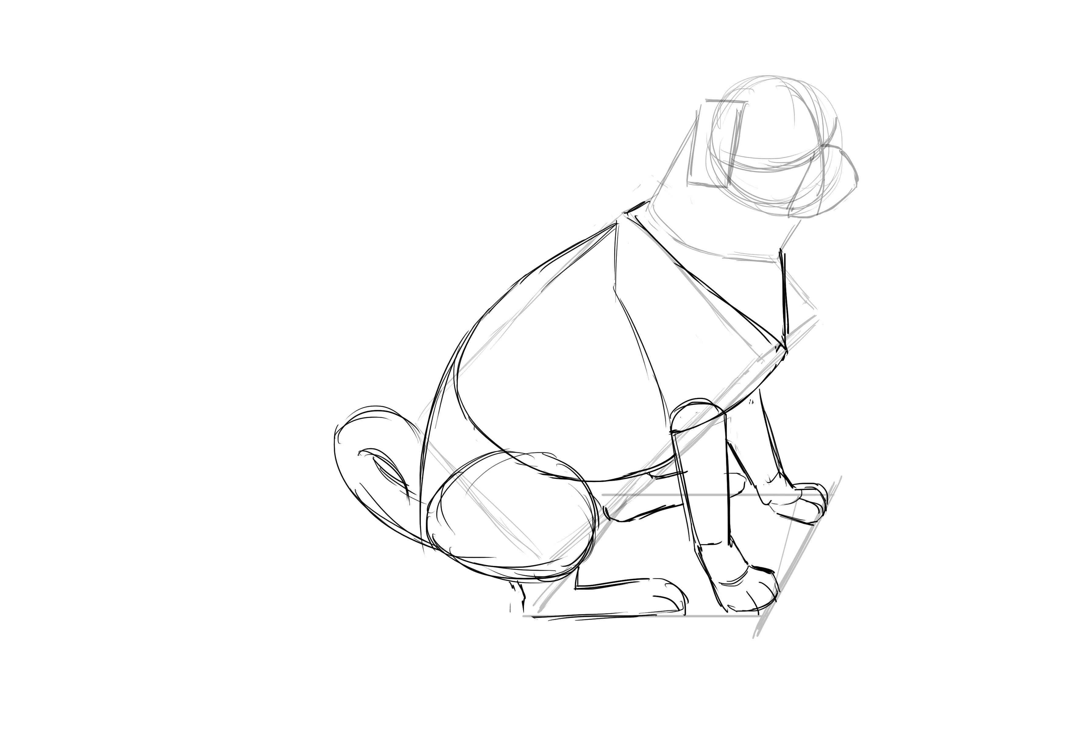 Dessiner la queue du chien