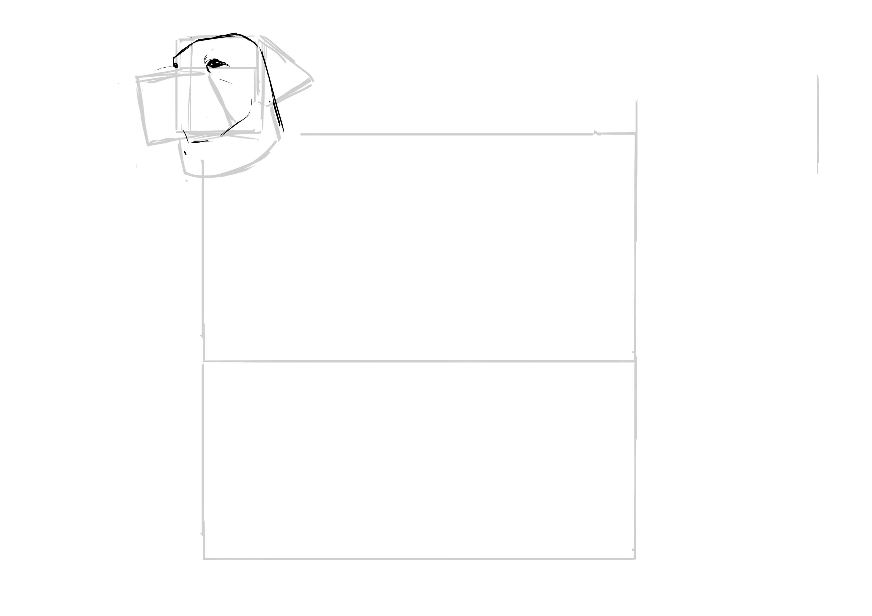 Dessiner les yeux du labrador