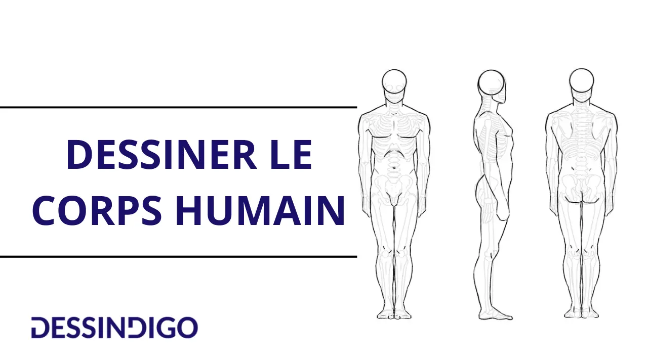 Comment dessiner le corps humain