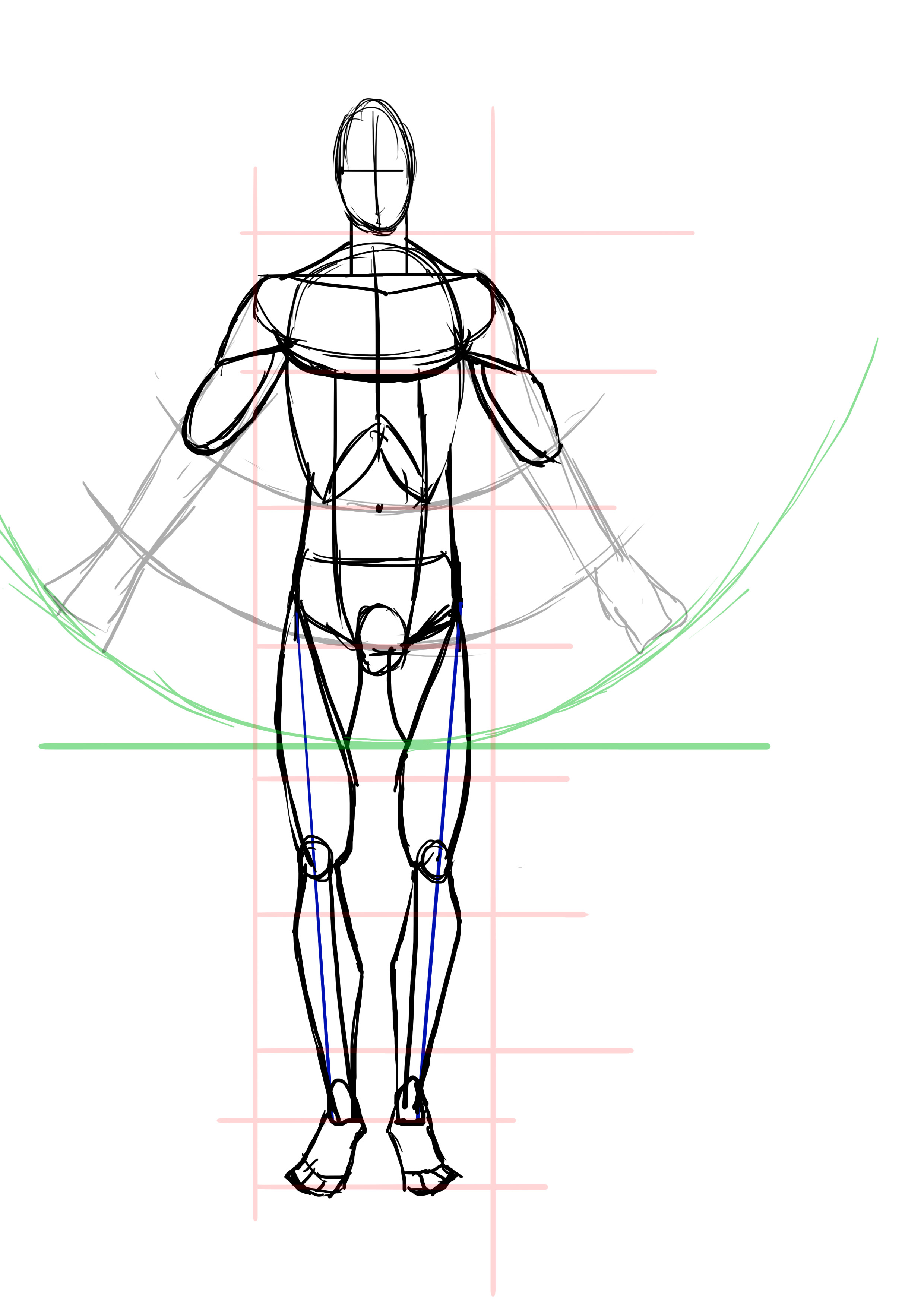 dessiner les biceps d’un homme de face 2