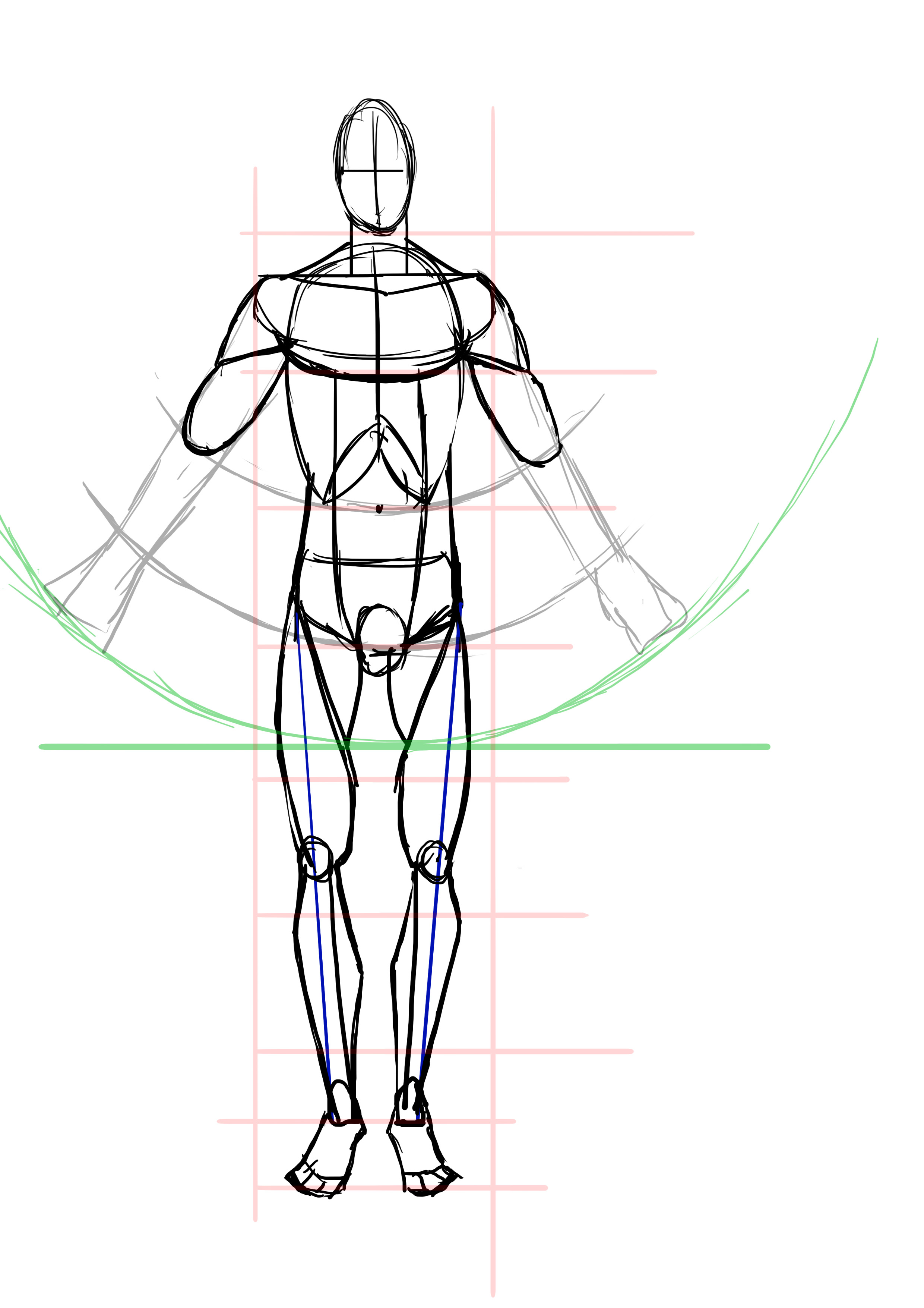 dessiner les biceps d’un homme de face