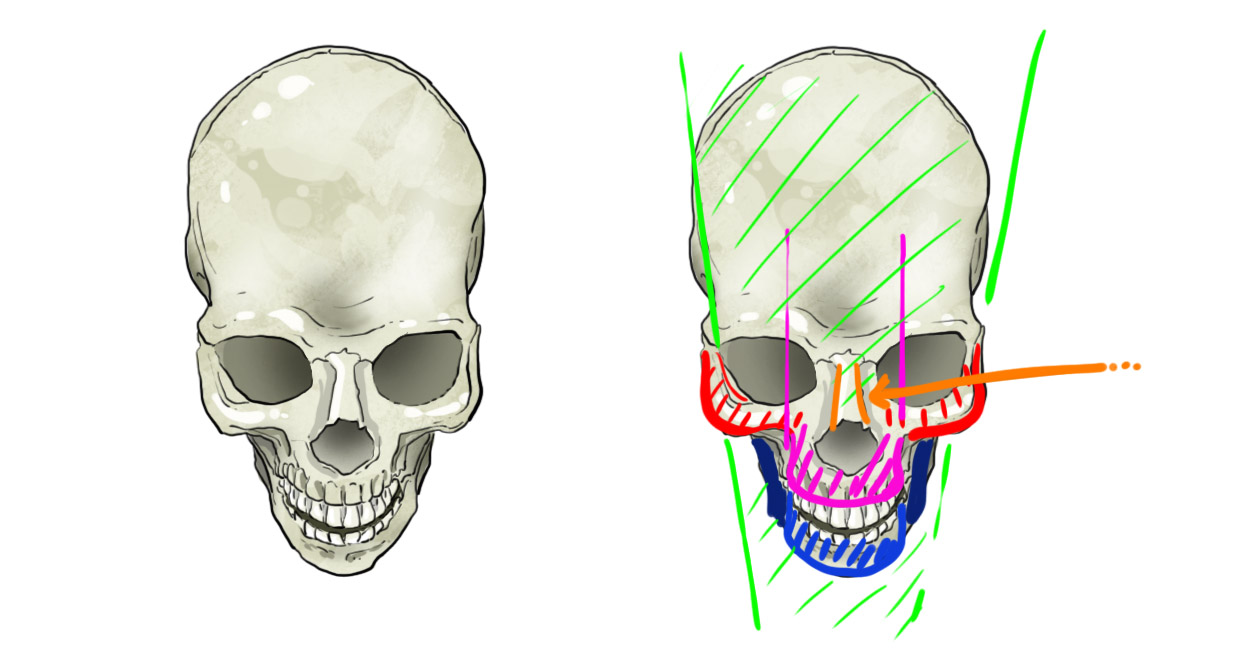 dessins de crâne en vue de plongée