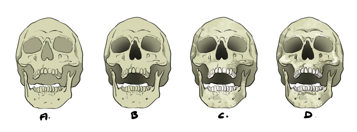 dessin final d'un crâne en couleur