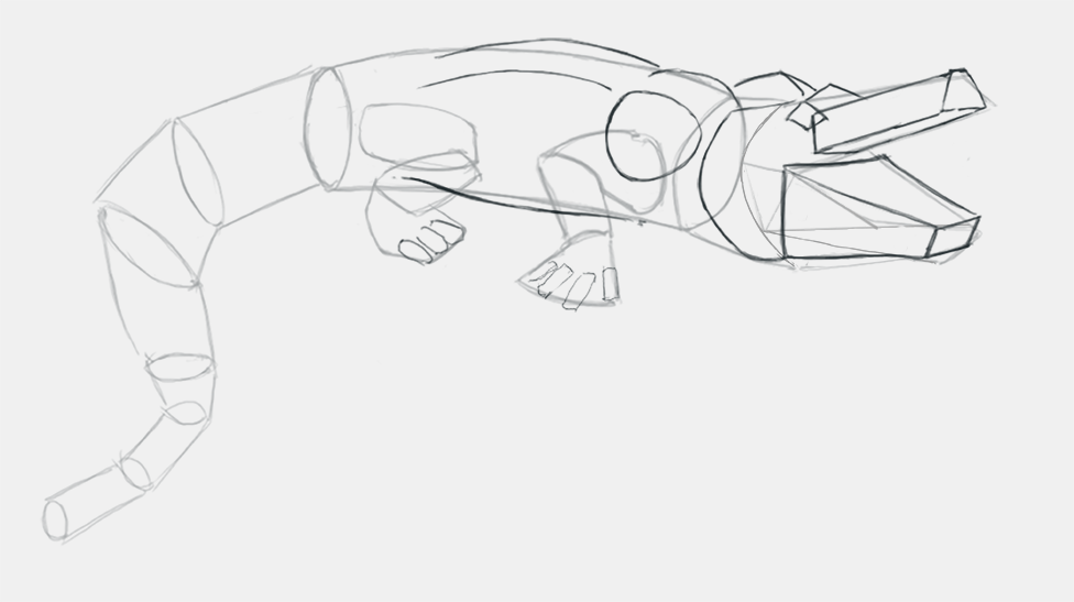 dessiner un crocodile étape 15