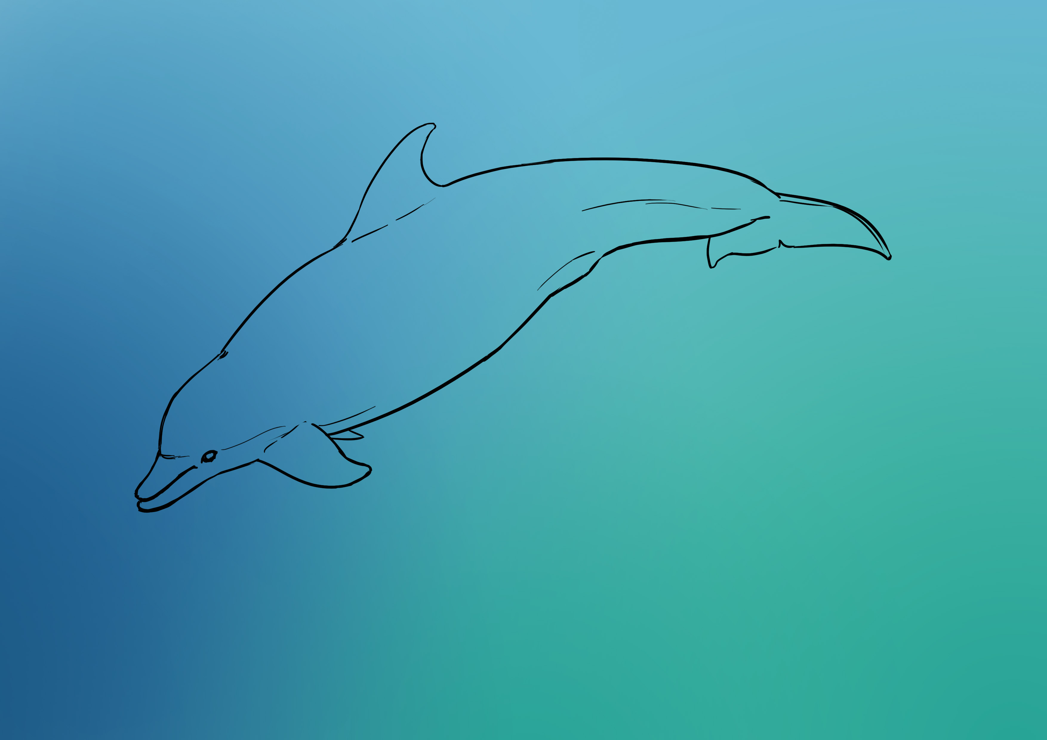 Couleur du fond du dessin