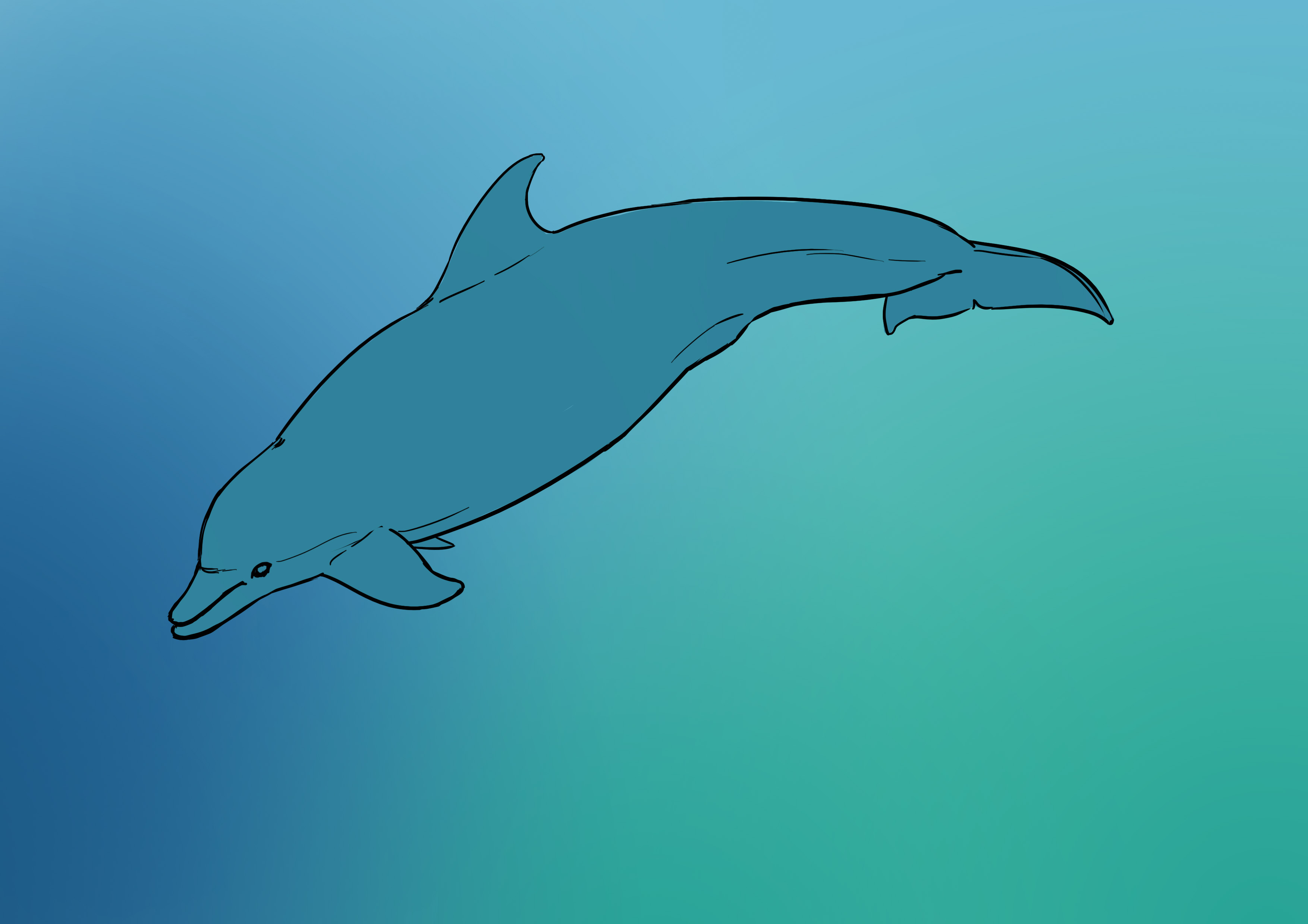 Appliquer la couleur au dessin