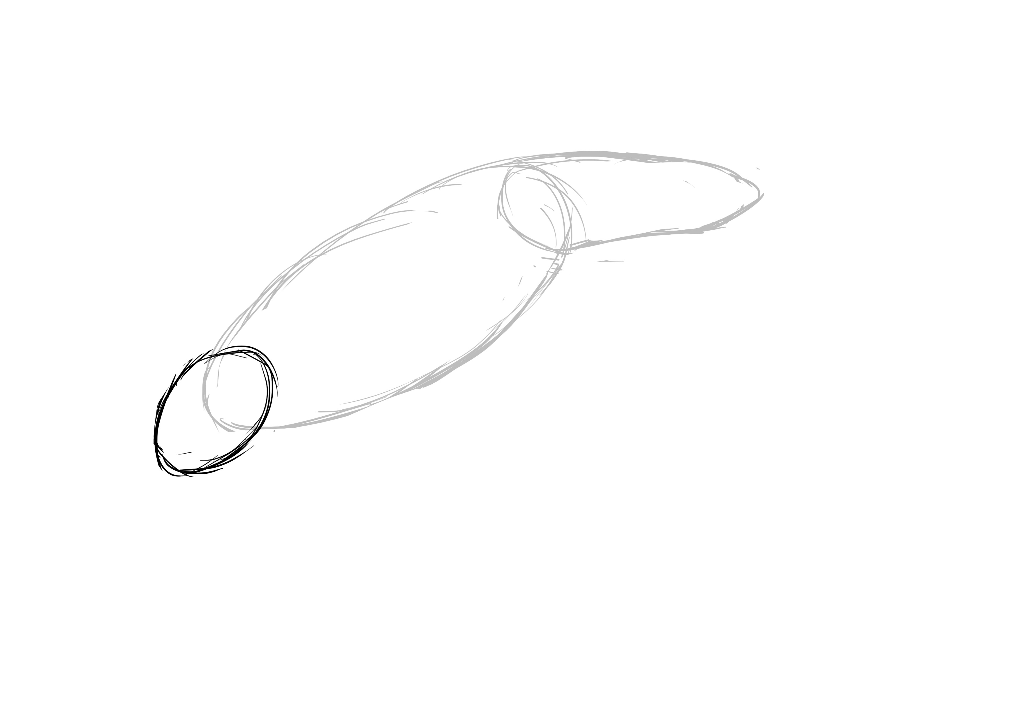 Dessin de la tête du dauphin