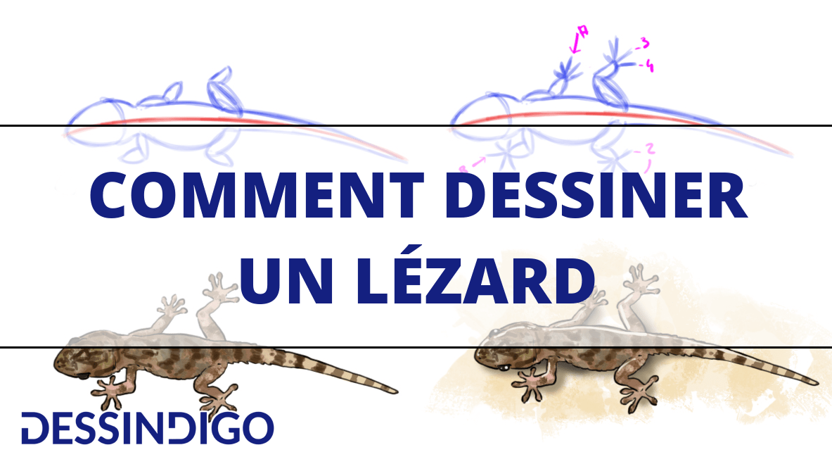 Comment réaliser un dessin de lézard