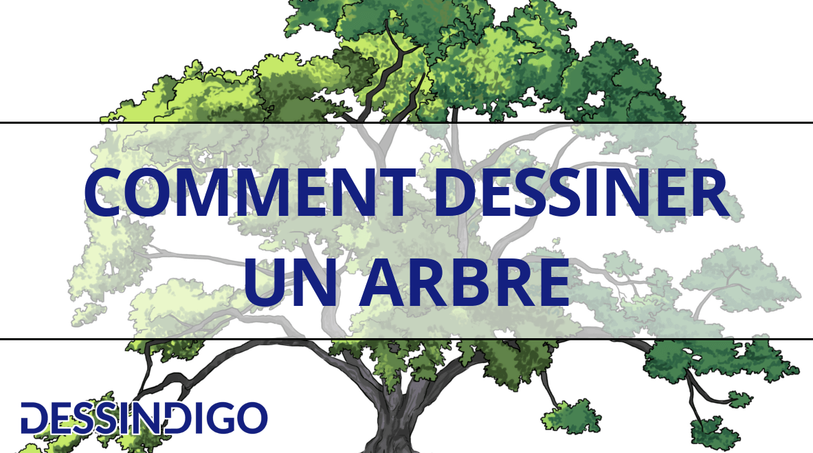 Comment dessiner un arbre