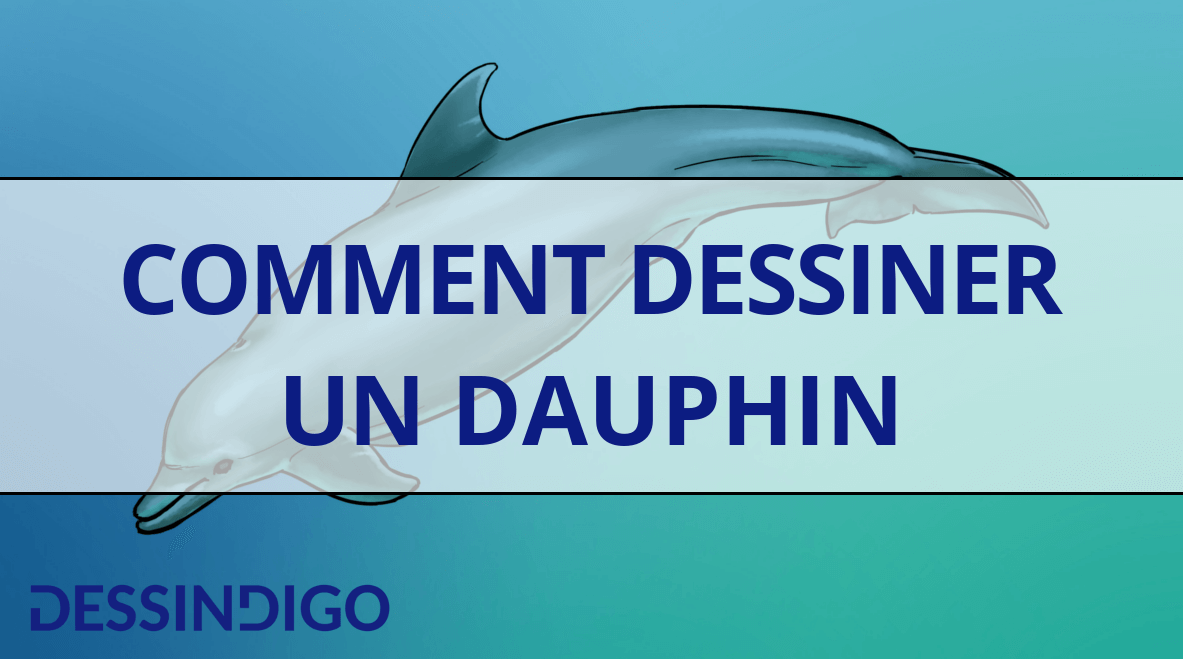 Comment dessiner un dauphin