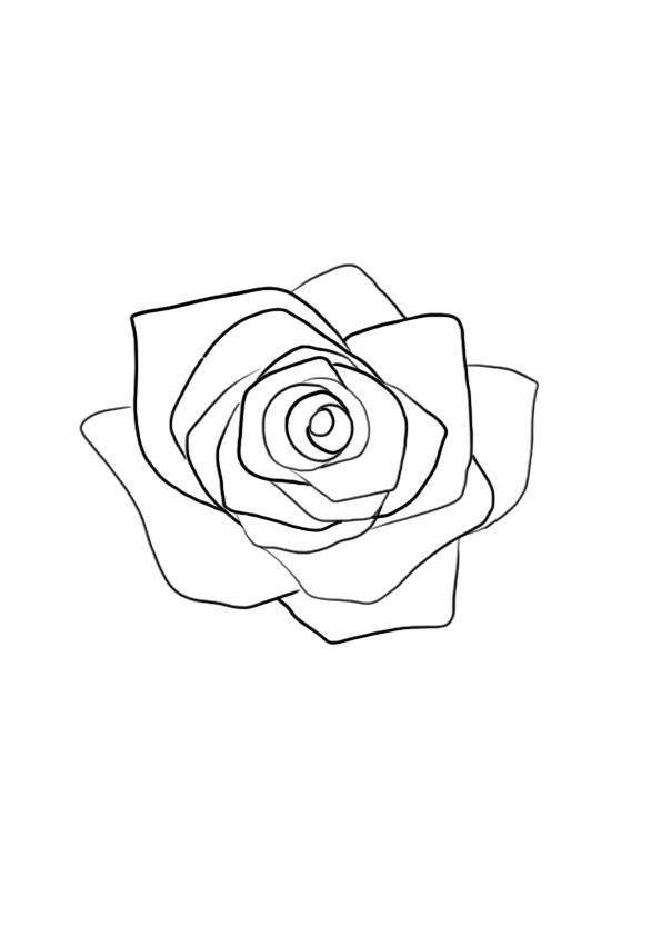 Dessiner une fleur : la rose