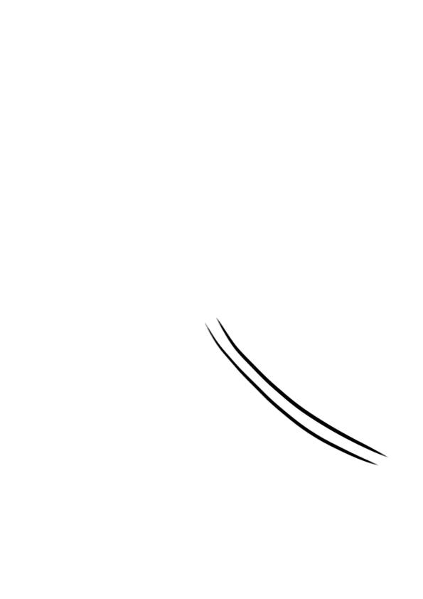 dessiner une fleur : la marguerite étape 1