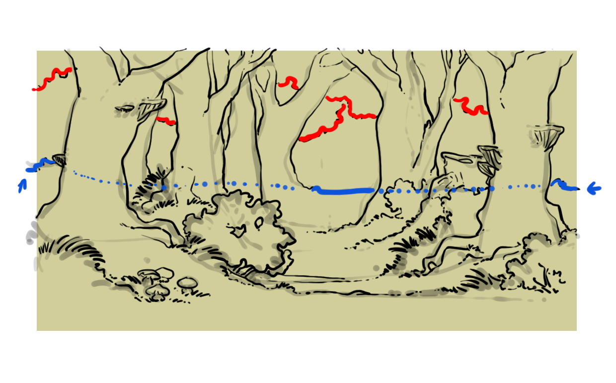 dessiner les délimitations du feuillage et du sol de la forêt
