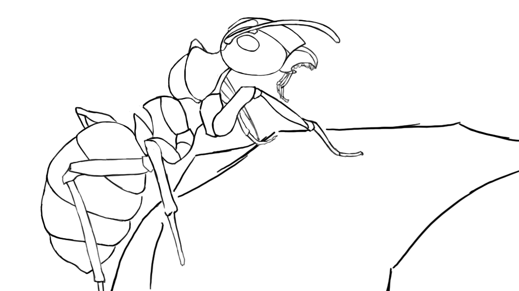 dessiner une fourmi au propre