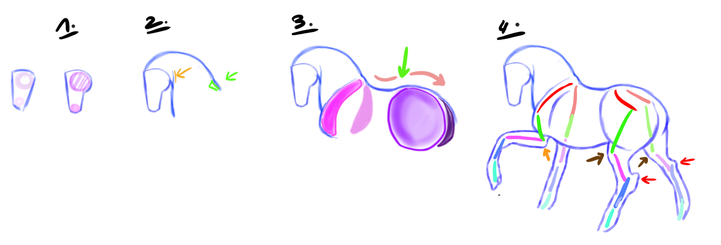 dessiner une licorne étape 1
