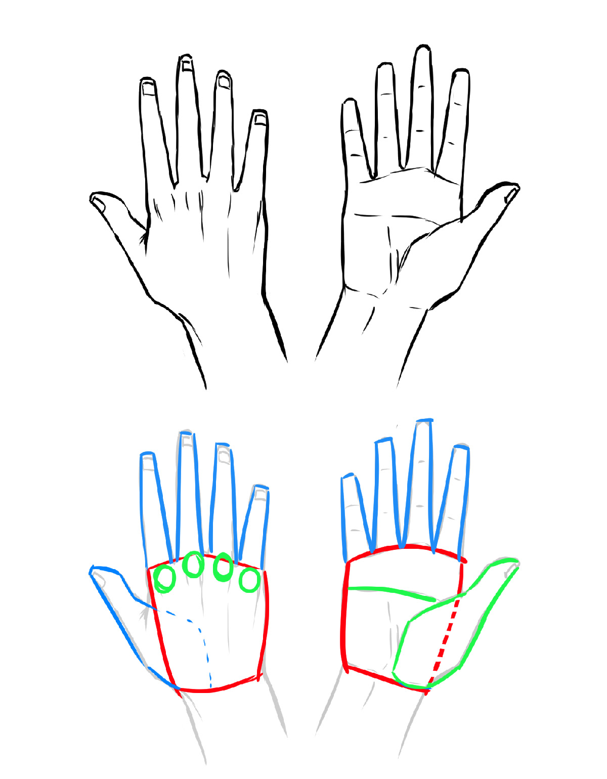Dessiner les détails de la main