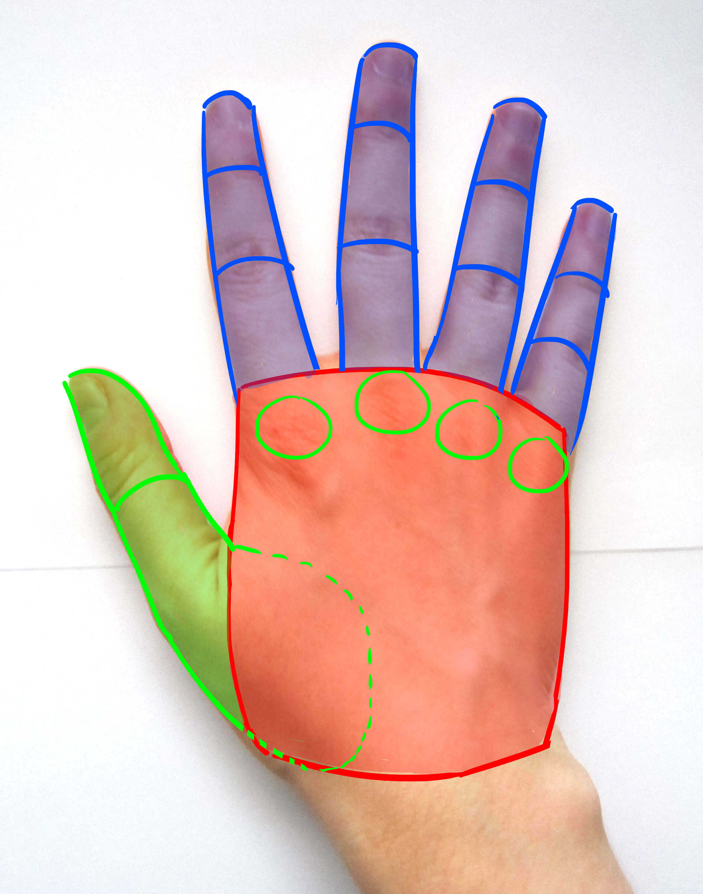 Doigts de la main de dos