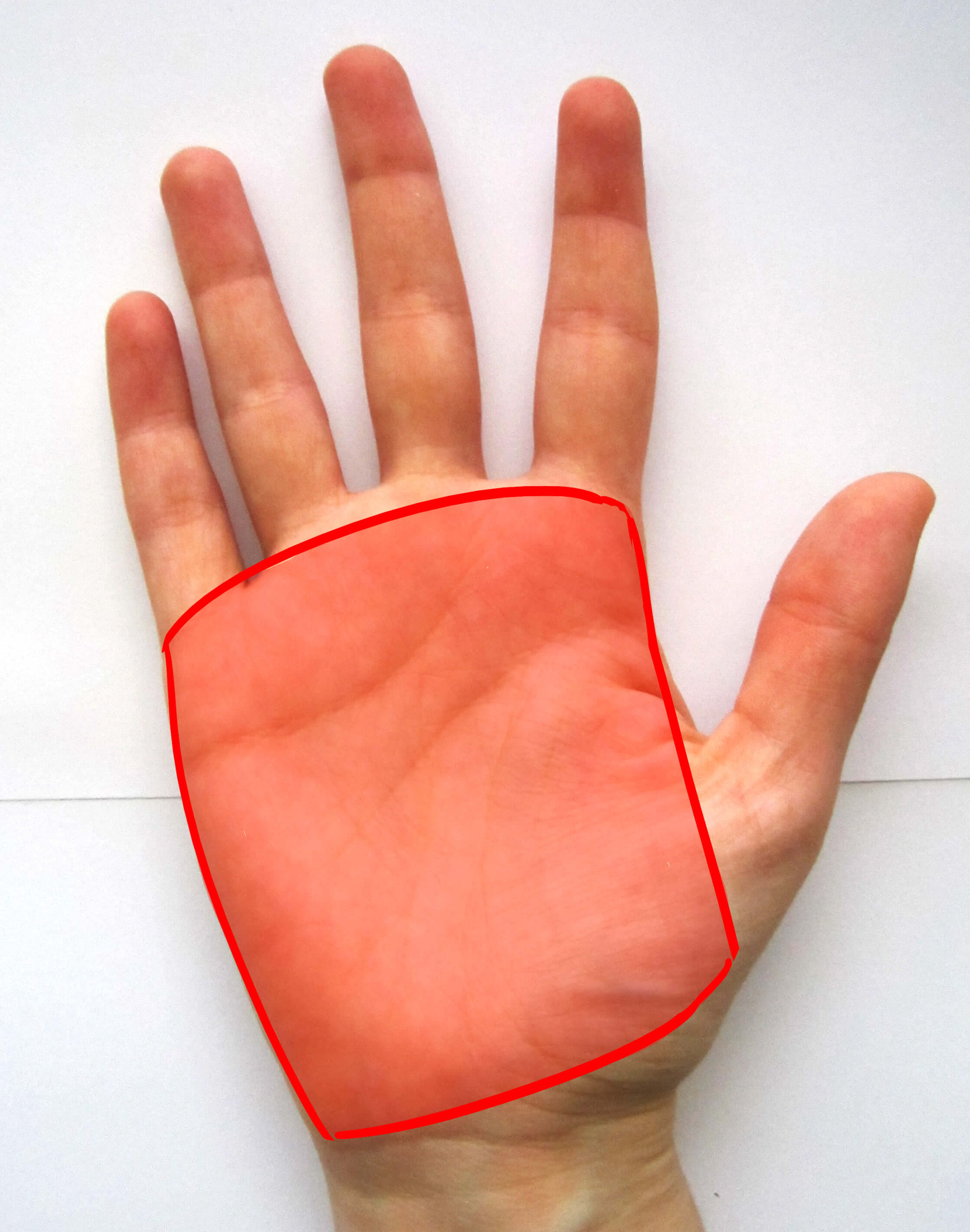 Paume de la main de face