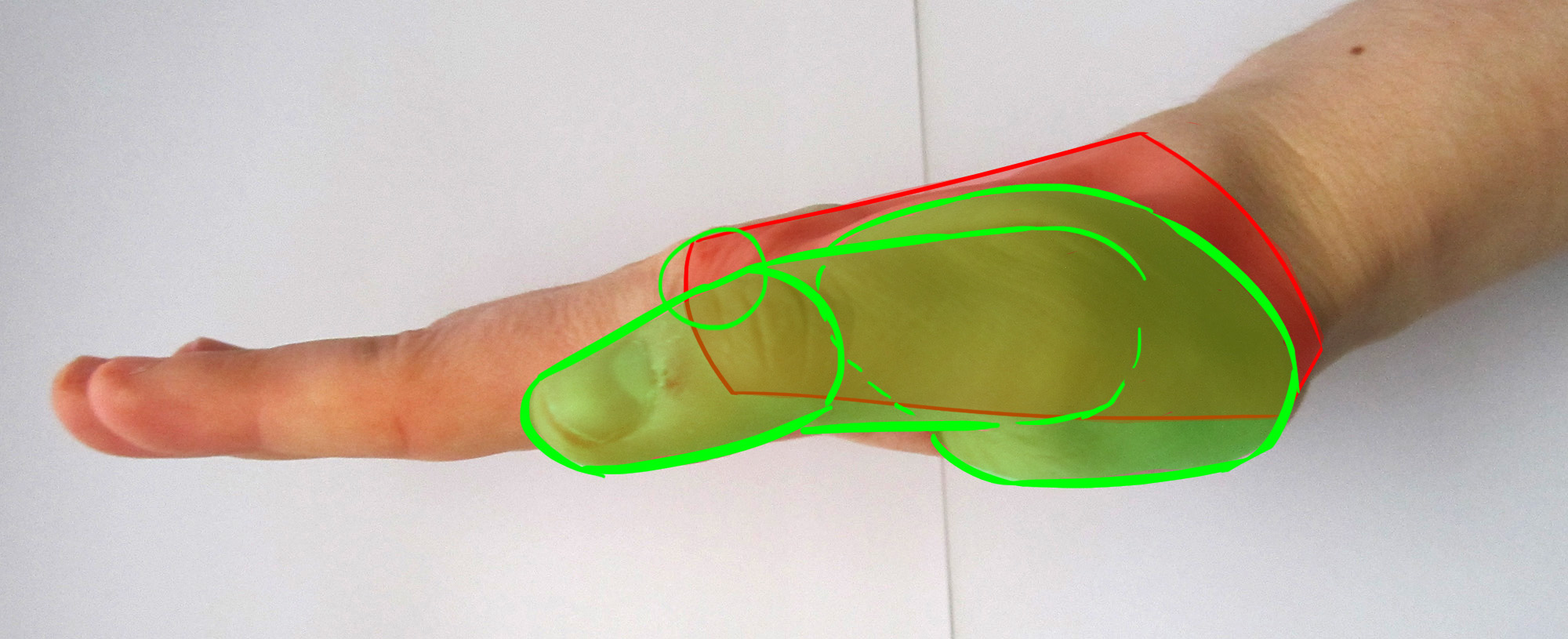 Pouce de la main de profil