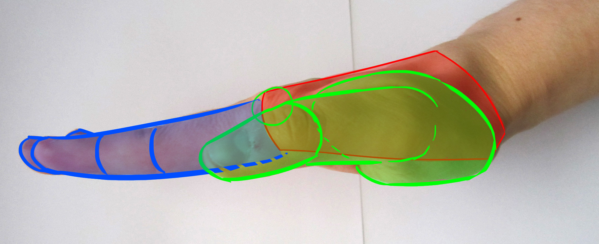 Doigts de la main de profil