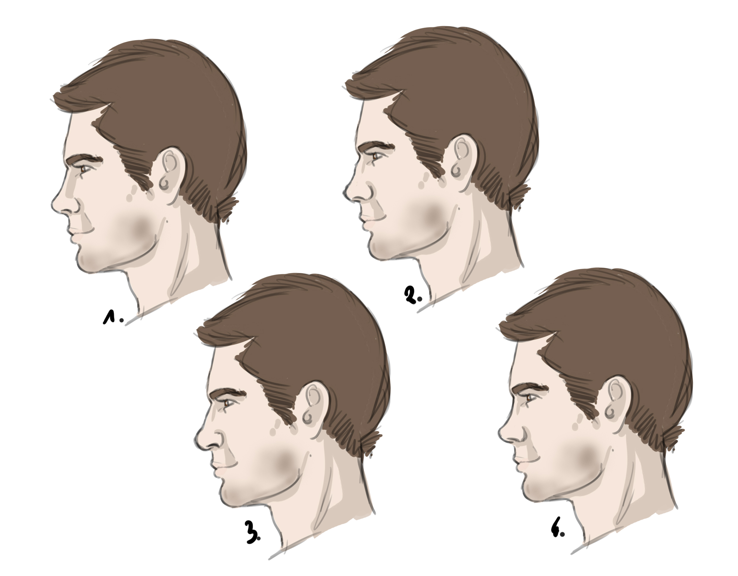 dessiner différents types de nez de profil