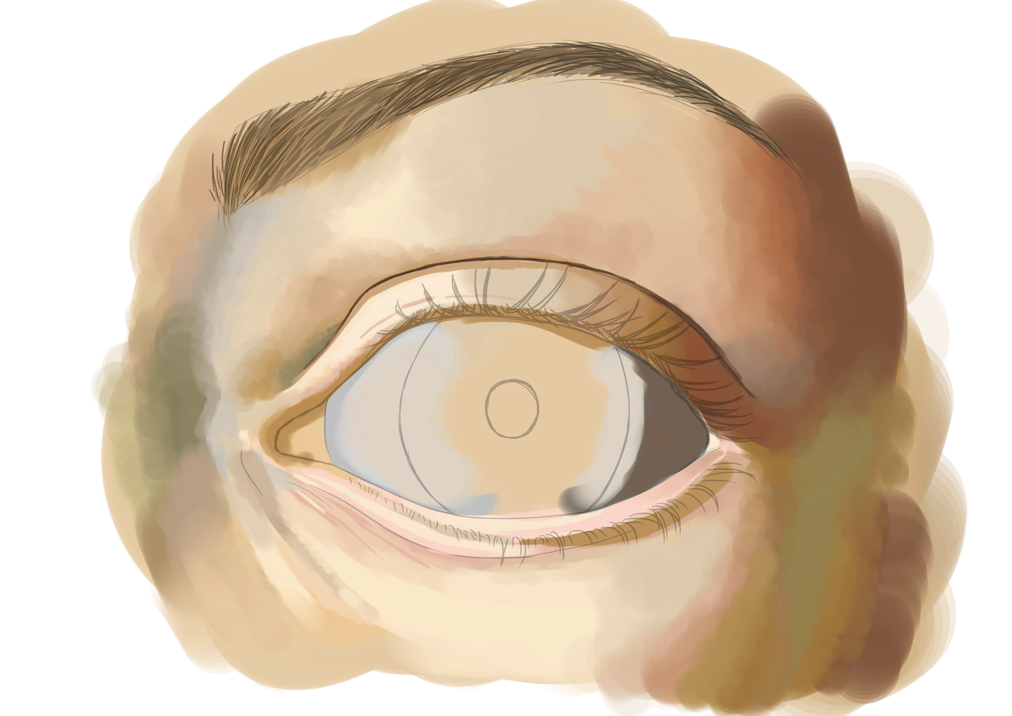 Appliquer la coueleur à l'oeil