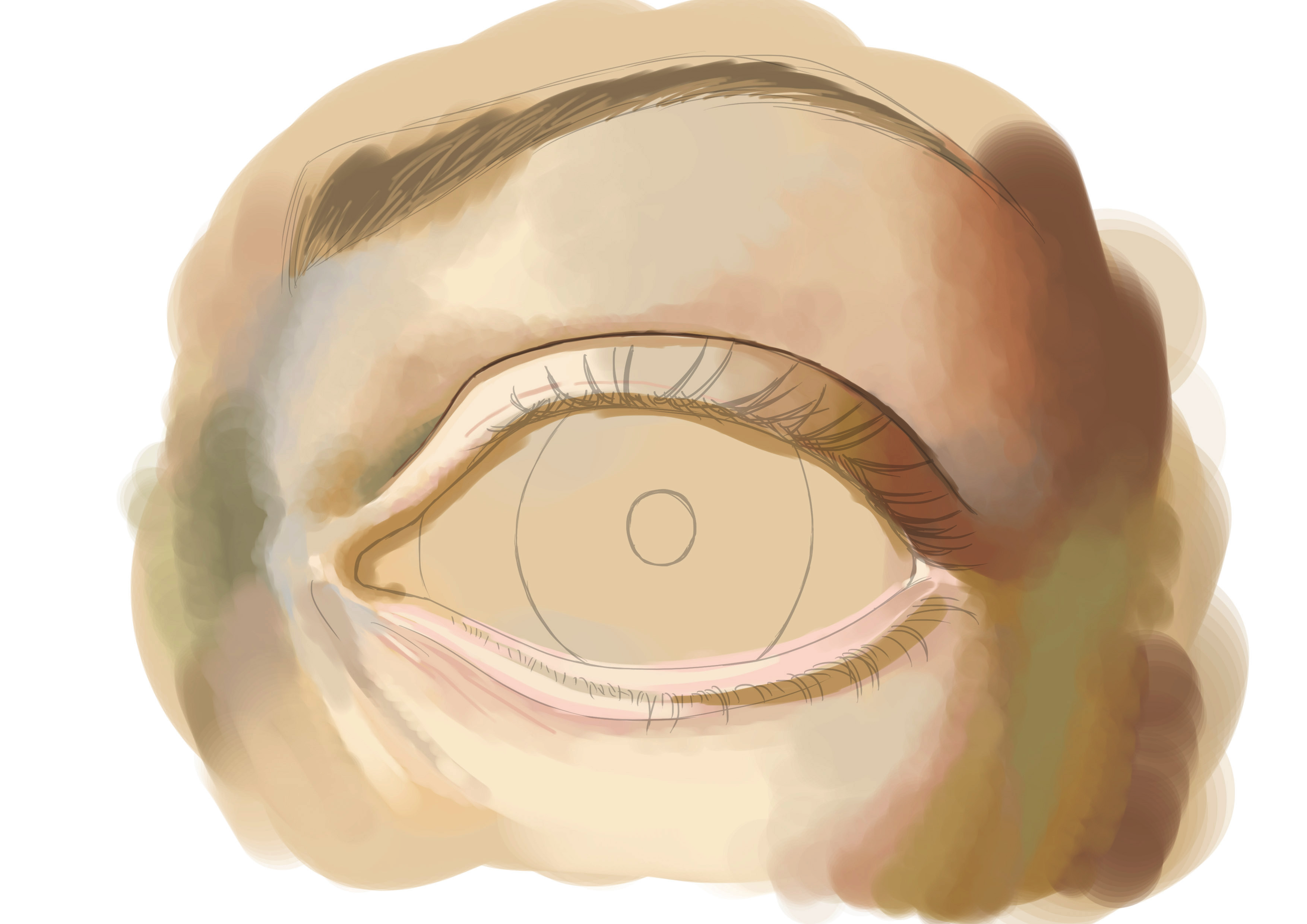 Appliquer la couleur au sourcil de l'oeil