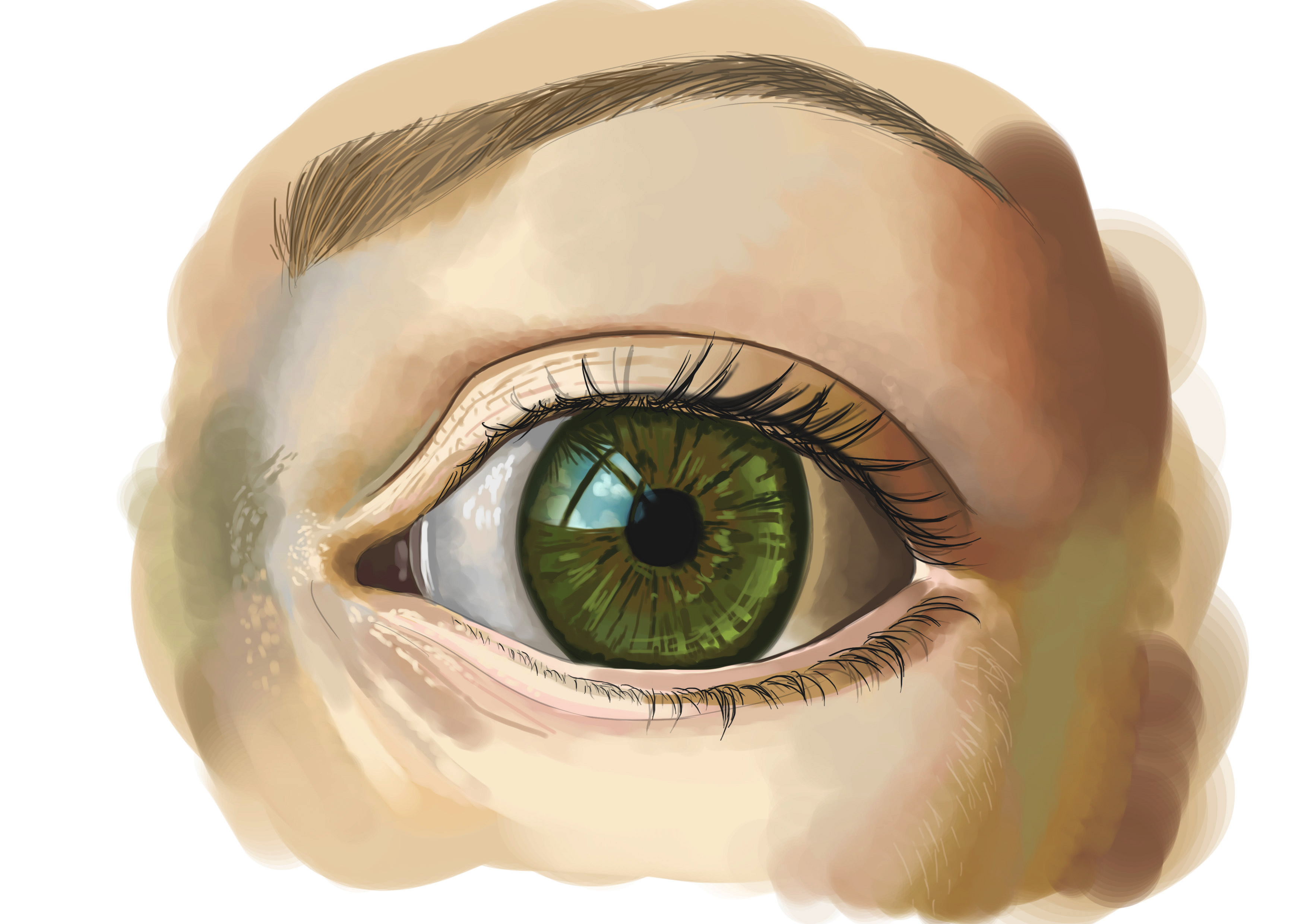 Dessin final de l'oeil réaliste en couleur