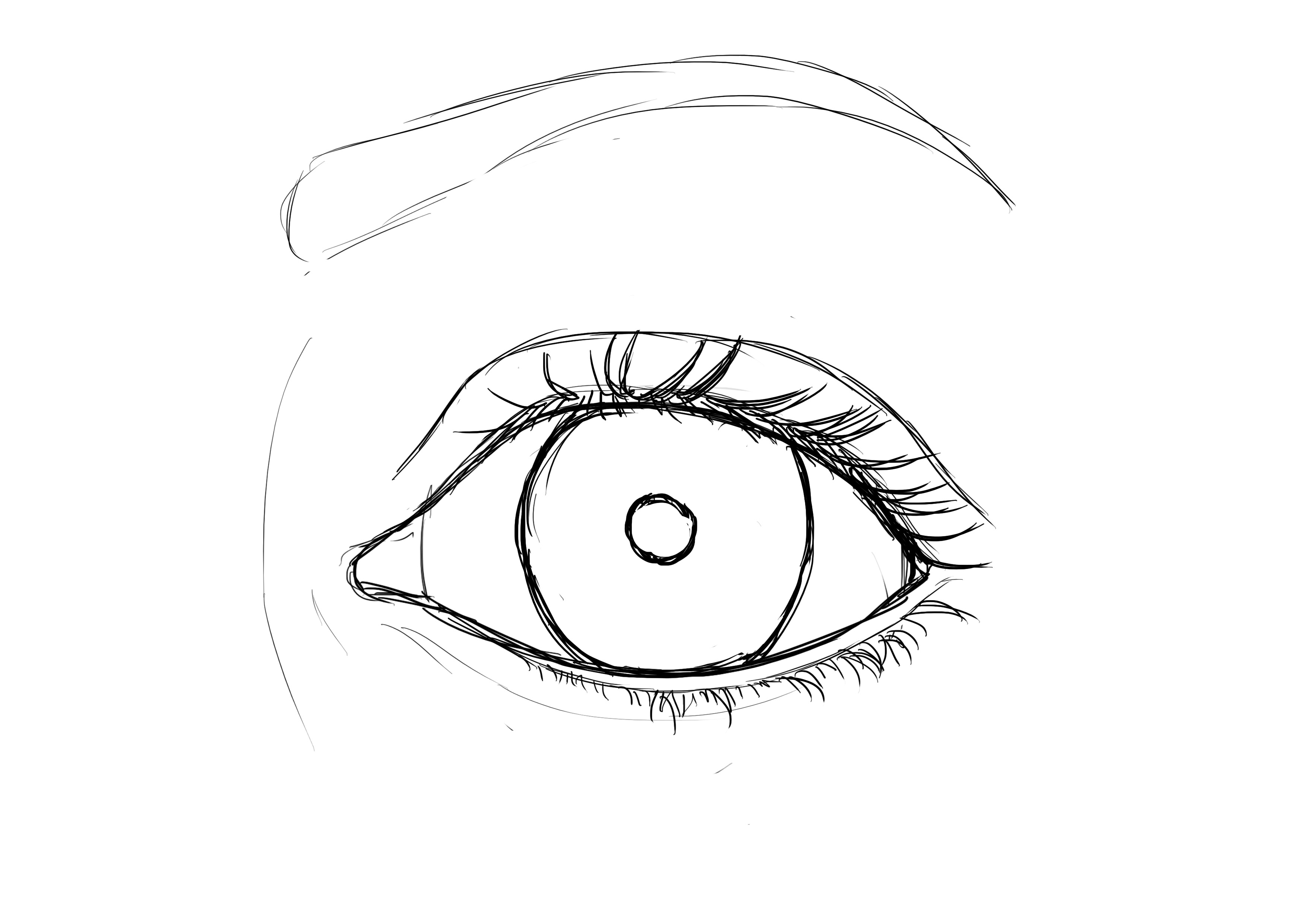 Dessiner la courbe du nez avec un trait léger